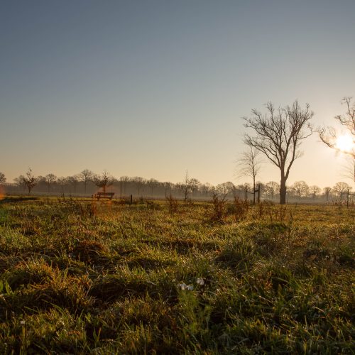 Winter Hoeve de zwingel