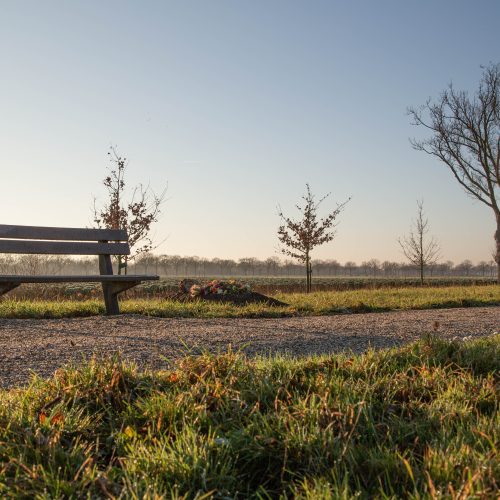 Winter Hoeve de zwingel