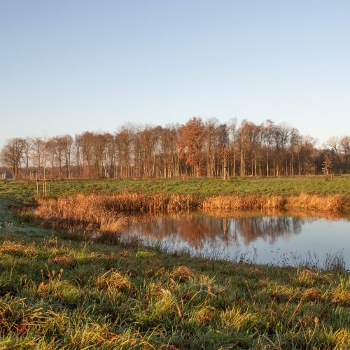 Winter Hoeve de zwingel