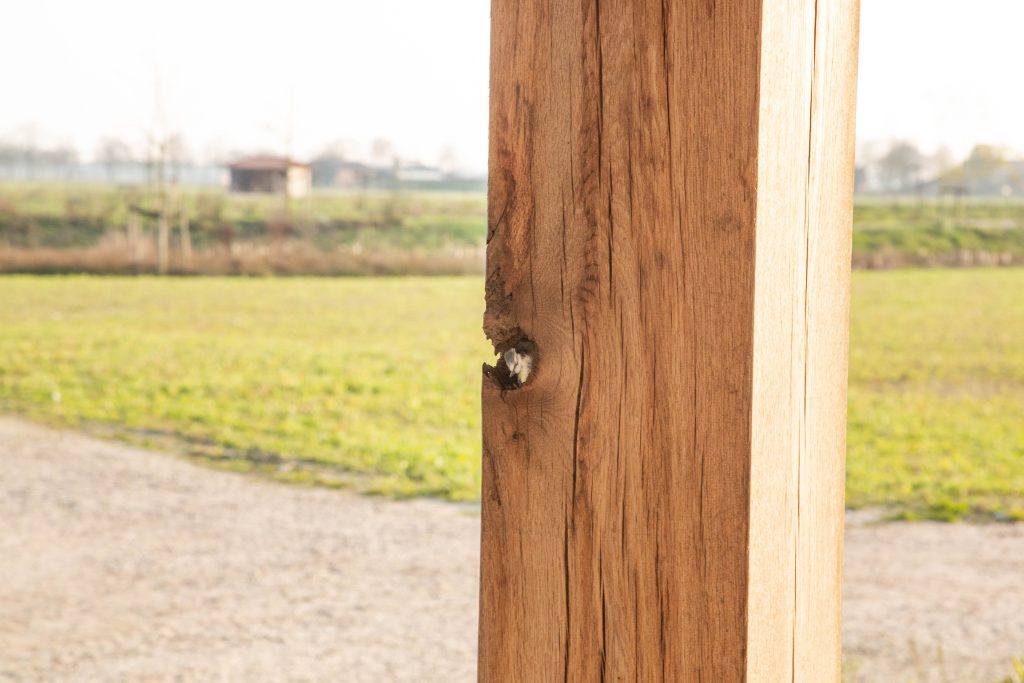 Vogeltje aula hoeve de zwingel nederweert crematorium en natuurbegraafplaats